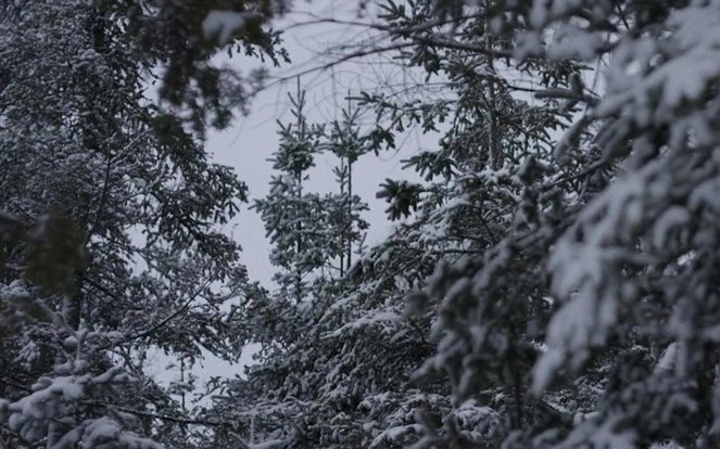 Edge of Winter - Photos