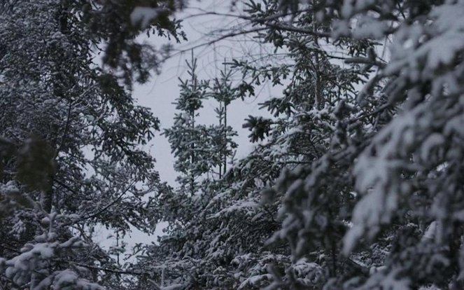 Edge of Winter - De la película