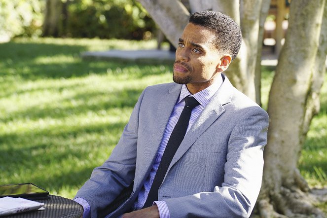 Tajomstvá a lži - Dcéra - Z filmu - Michael Ealy