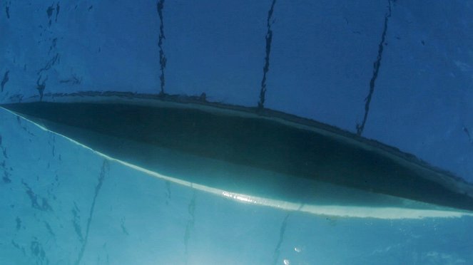 Moby Dick visszavág - Filmfotók