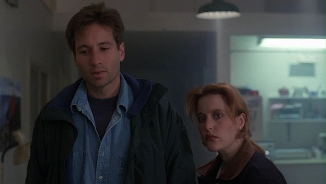 Z Archiwum X - Firewalker - Z filmu - David Duchovny, Gillian Anderson