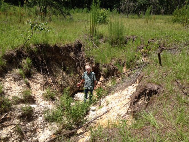 Sinkholes: Swallowed Alive - Photos