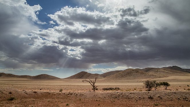 Planet Erde - Wüsten - Filmfotos