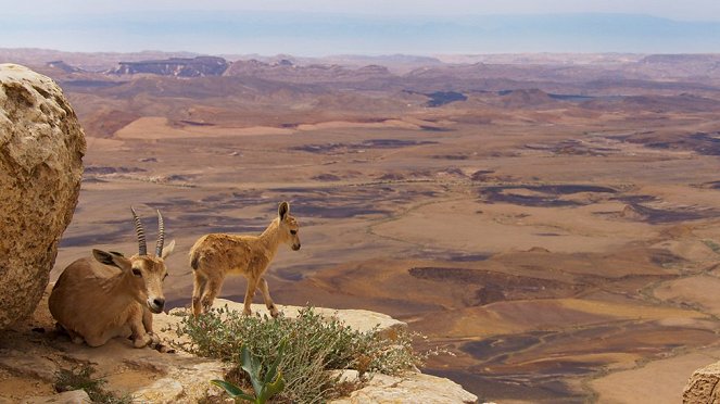 Planeta Tierra - Mountains - De la película