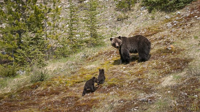 Planeettamme maa - Korkeuksien maailma - Kuvat elokuvasta