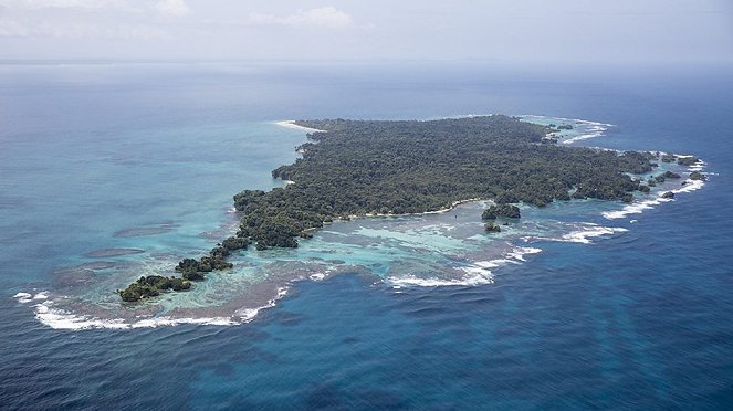 Planet Earth - Season 2 - Islands - Photos