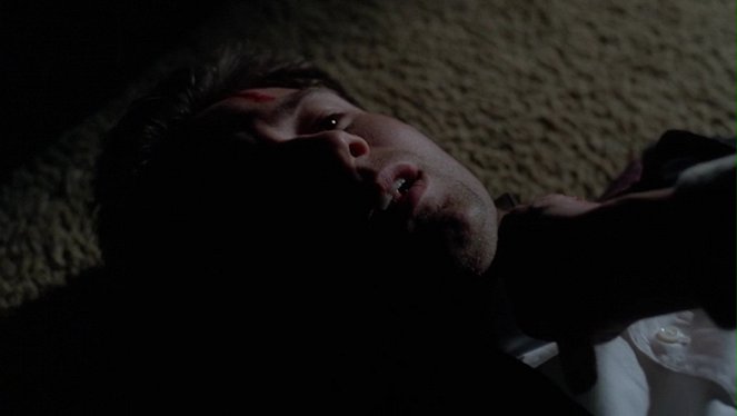 The X-Files - Season 2 - Aubrey - Van film - David Duchovny
