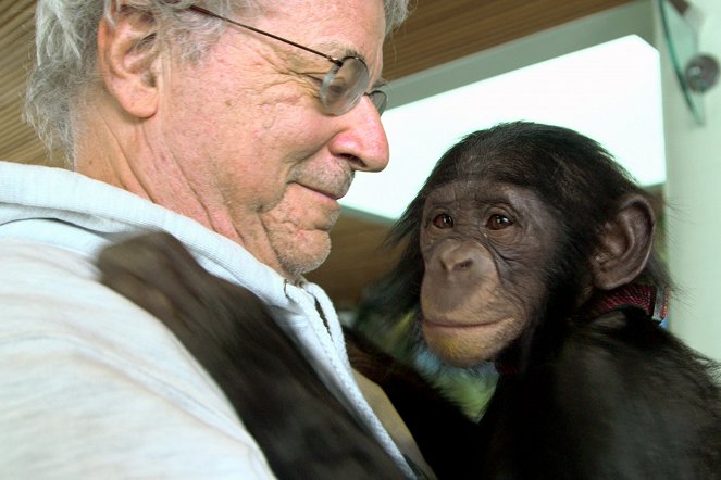 L'Avocat des chimpanzés - Film