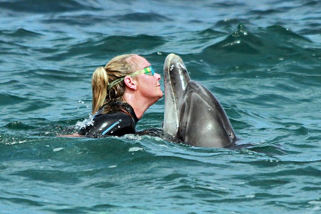 Die Delfinflüsterin - Vor Irlands wilder Küste - Photos