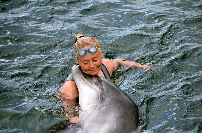 Die Delfinflüsterin - Vor Irlands wilder Küste - Film
