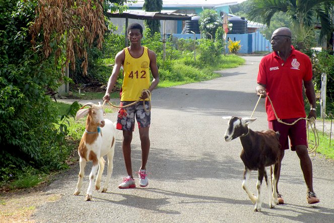 Tierische Leidenschaften - Das Rennen der Ziegen, Wettstreit auf Tobago - Z filmu
