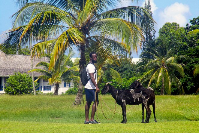 Tierische Leidenschaften - Das Rennen der Ziegen, Wettstreit auf Tobago - Filmfotos
