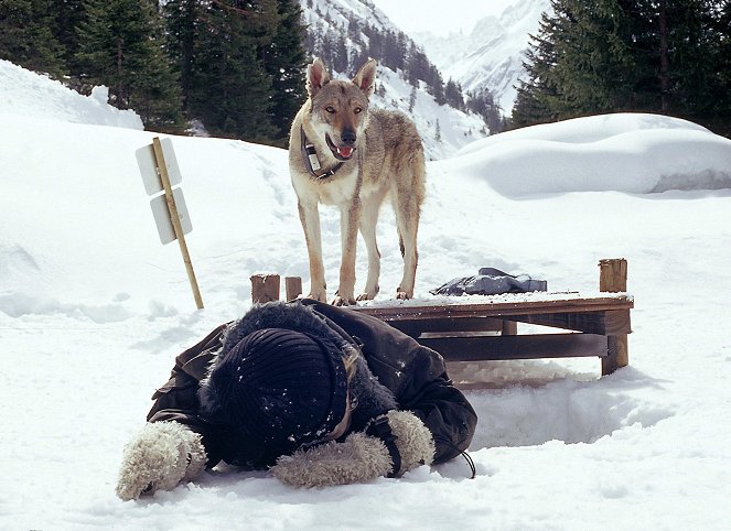 Der Weihnachtswolf - Filmfotók