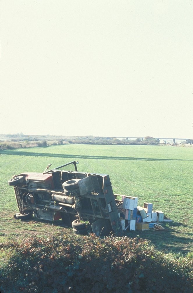 Mörderischer Schwarm - Filmfotos