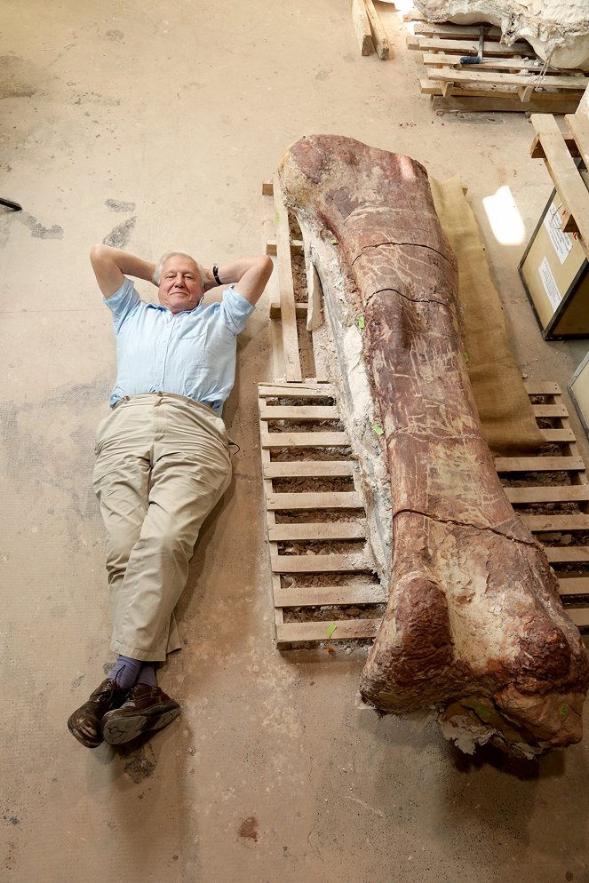 Nature: Raising the Dinosaur Giant - Z filmu - David Attenborough