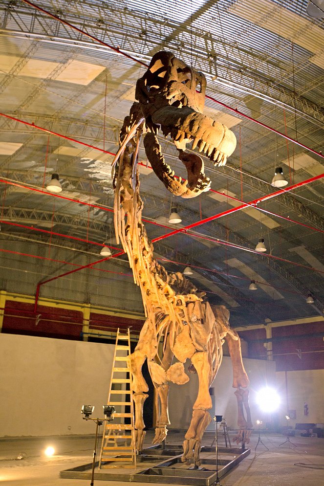 Die Entdeckung der Riesensaurier - Filmfotos