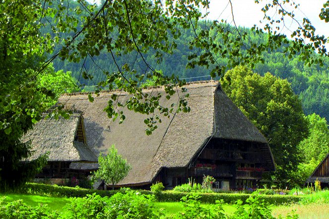Der Schwarzwald - Wildnis mit Aussicht - Van film