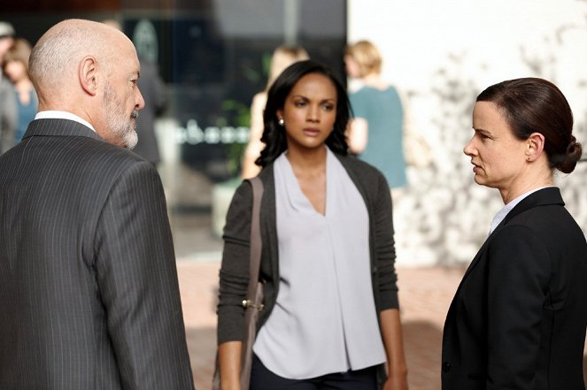 Secrets and Lies - The Brother - Film - Terry O'Quinn, Mekia Cox, Juliette Lewis
