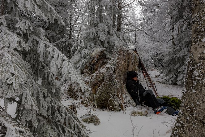 La Vallée des loups - Photos