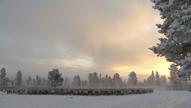 Lichterglanz und Schneegestöber - Weihnacht in Schweden - Photos