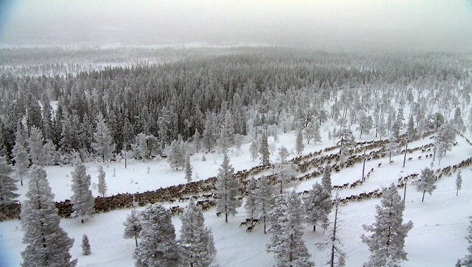 Lichterglanz und Schneegestöber - Weihnacht in Schweden - Film