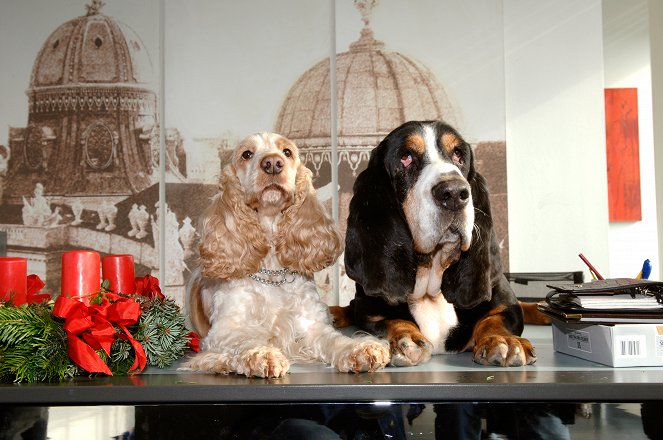Max, Katrin a Vánoce se dvěma psy - Z filmu