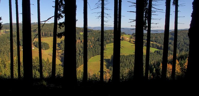 Universum: Roseggers Waldheimat - Ein Jahr im Zauberwald - Filmfotók