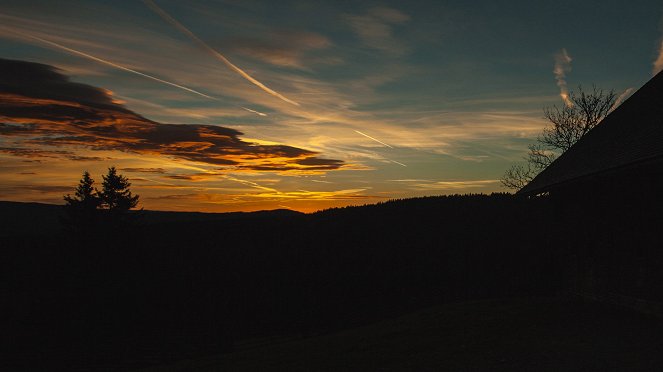 Die Waldheimat - Ein Jahr im Zauberwald - Filmfotos
