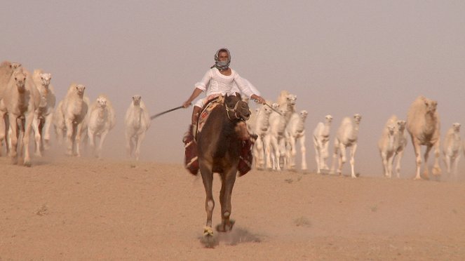 Universum: Wüstenschiffe - Von Kamelen und Menschen - De la película