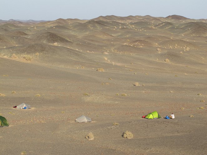 Universum: Wüstenschiffe - Von Kamelen und Menschen - Photos