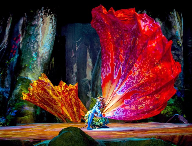 Cirque du Soleil: Toruk - Der erste Flug - Filmfotos