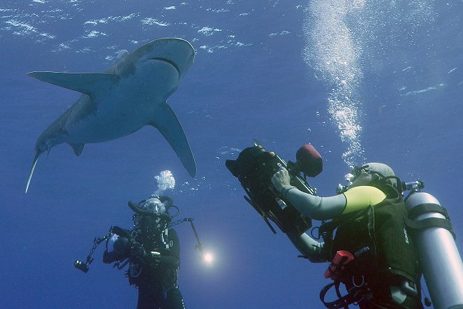 À + ou - 5 mètres de la surface des océans - Do filme