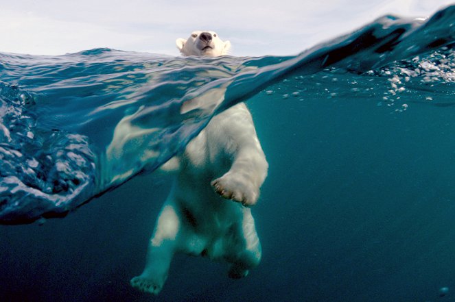 À + ou - 5 mètres de la surface des océans - Photos