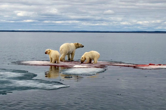 À + ou - 5 mètres de la surface des océans - Do filme