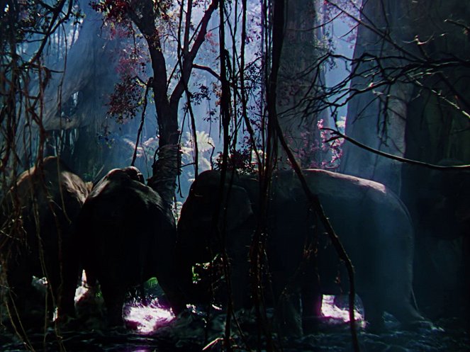 Das Dschungelbuch - Filmfotos