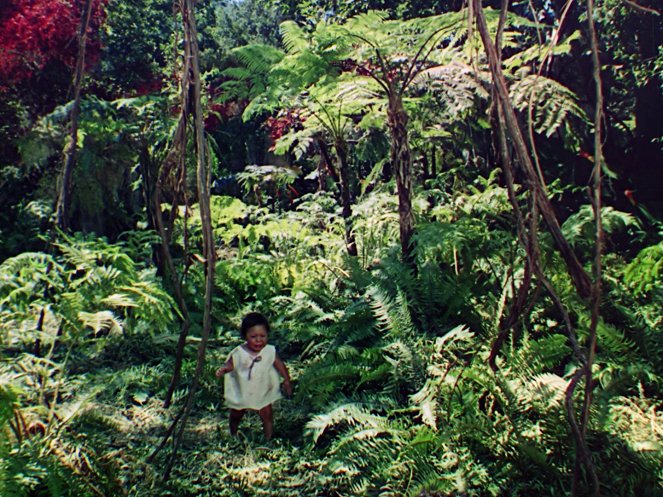Jungle Book - Kuvat elokuvasta