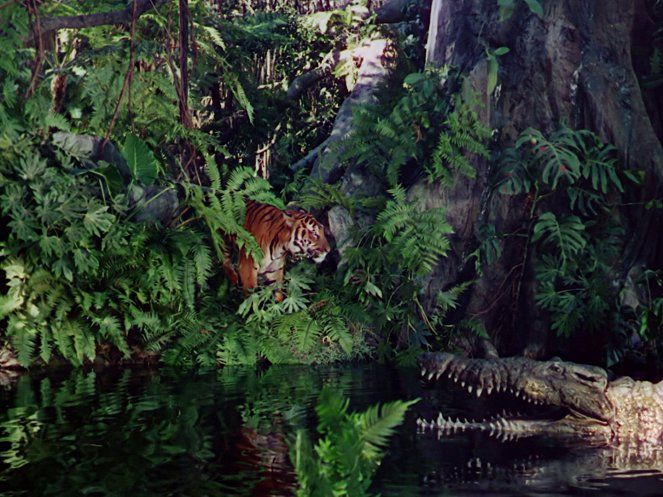 El libro de la selva - De la película