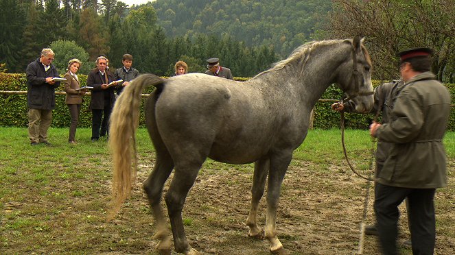 Das weiße Ballett - Die Spanische Hofreitschule - Van film