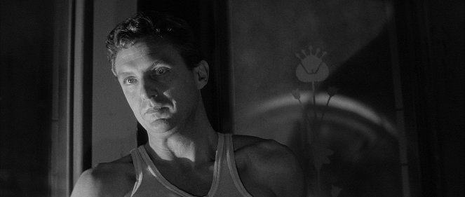 The Tarnished Angels - Photos - Robert Stack