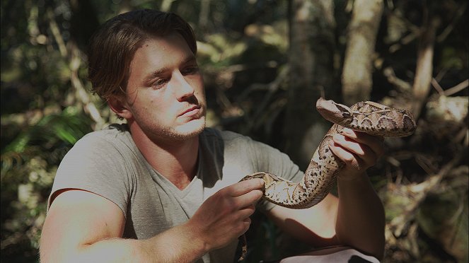 Dél-Afrika leghalálosabb kígyói - Filmfotók