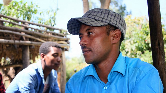Etiopian vaaran vuosi - Z filmu