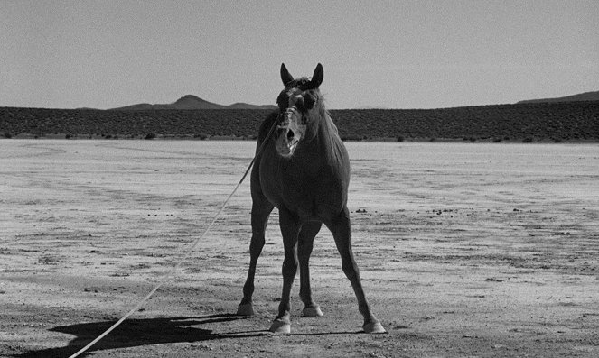 Mustangové - Z filmu