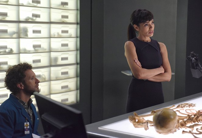 Bones - The Final Chapter - The Hope in the Horror - Photos - T.J. Thyne, Tamara Taylor
