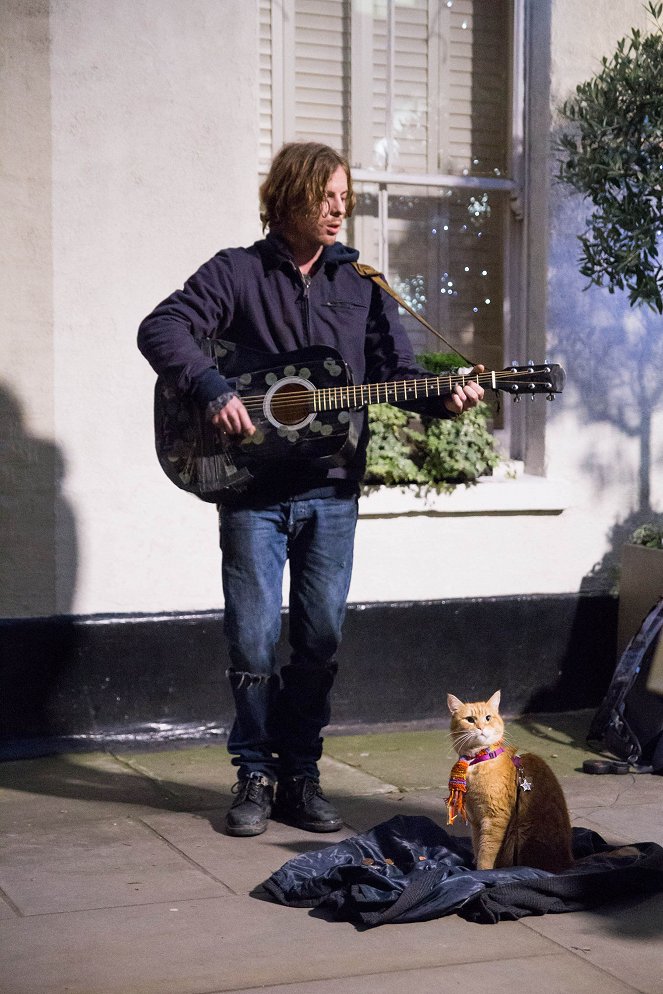 Bob, az utcamacska - Filmfotók - Luke Treadaway, Bob a macska