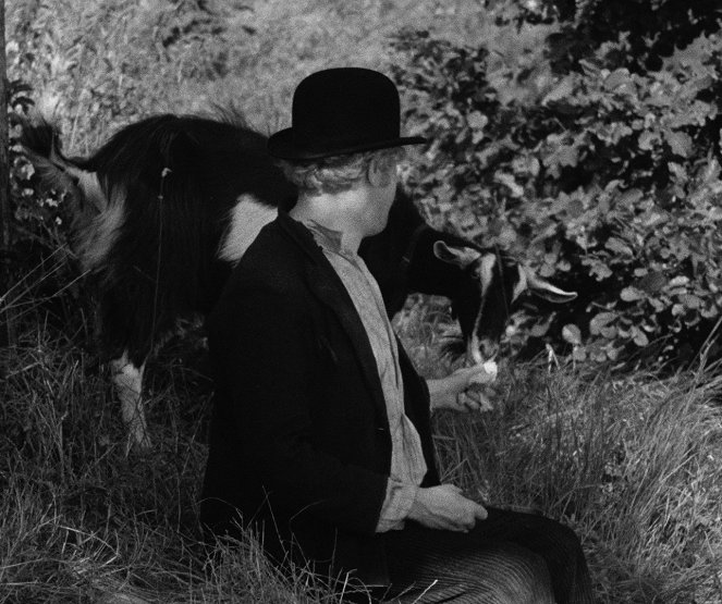 Boudu - Aus den Wassern gerettet - Filmfotos