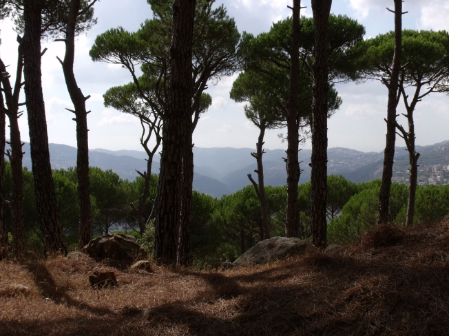 La Vallée des larmes - Film