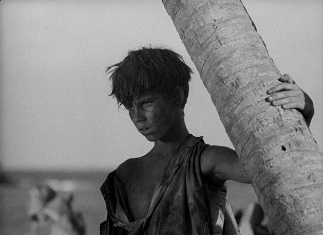 Lord of the Flies - Photos