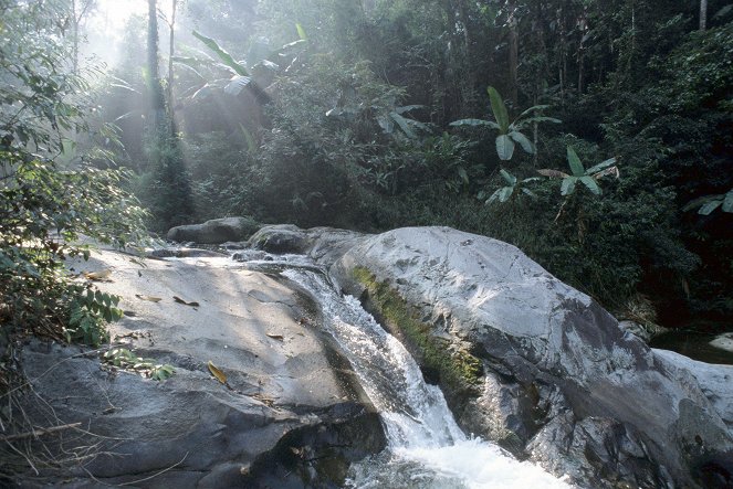 Universum: Laos - Wunderland - Kuvat elokuvasta