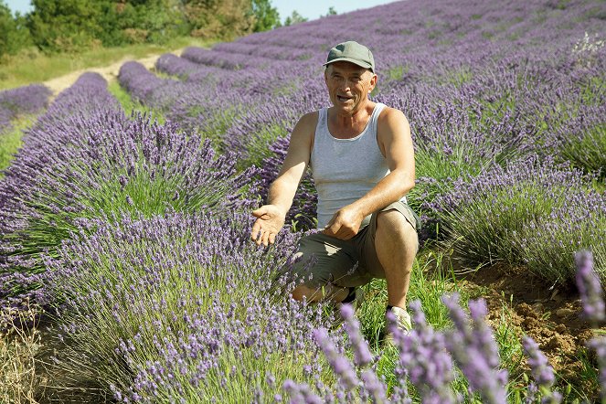 Le Génie des plantes - Kräuterwelten der Provence - Film