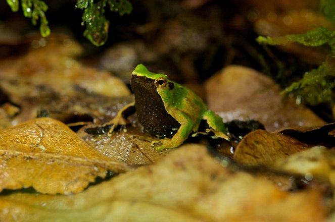 Patagonia: Earth's Secret Paradise - Fire and Ice - Photos